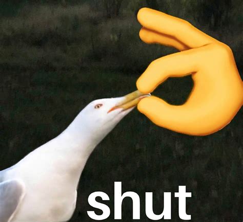 SHUT .